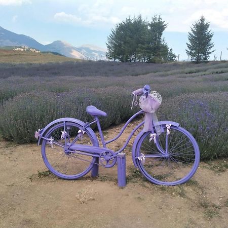 Mare A 200 Mt - Casa Cuore Casello Martucci エクステリア 写真
