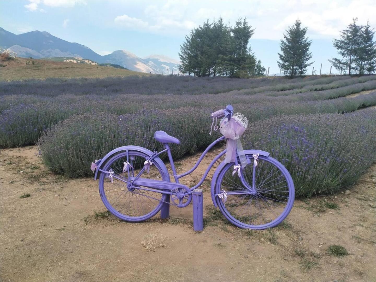 Mare A 200 Mt - Casa Cuore Casello Martucci エクステリア 写真